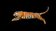 Bengal tiger jump in the air pose with 3d rendering include work path for alpha.