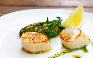 Portion of grilled scallops on plate on table