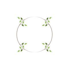 Wall Mural - Vintage floral round frames. Green decorative ivy wreath. Vector illustration