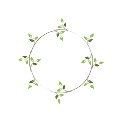 Wall Mural - Vintage floral round frames. Green decorative ivy wreath. Vector illustration