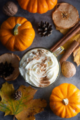 Spiced autumn pumpkin latte drink with cinnamon and cream foam top view with colorful autumn drink