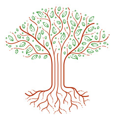 Beautiful tree vector linear style drawing logo or icon, perfect drawing.