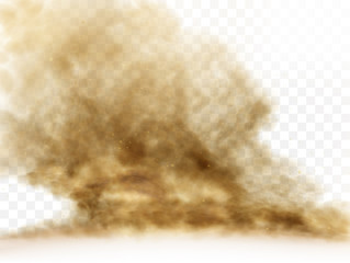 Wall Mural - desert sandstorm, brown dusty cloud or dry sand flying with gust of wind, big explosion realistic te