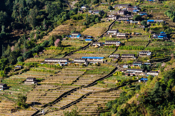 Canvas Print - Asian mountain village Ghandruk and terrace fields in autumn Nepal, Himalaya, Annapurna Conservation Area