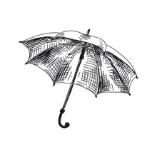 Open Umbrella Hand Drawn Vector Illustration