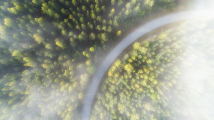 Wall Mural - Aerial view of curving road and fog above forest.