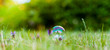 canvas print picture - Seifenblase auf grünem Gras. Seifenblase vor grünem Hintergrund. Air bubble on green nature background.