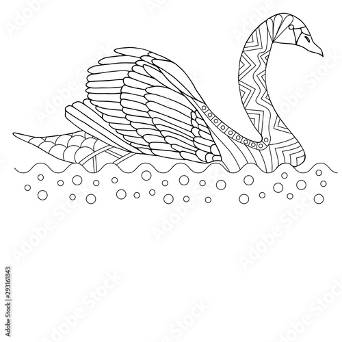 Download Swan Coloring Page Contour Vector Illustration For Children And Adults Stock Vector Adobe Stock