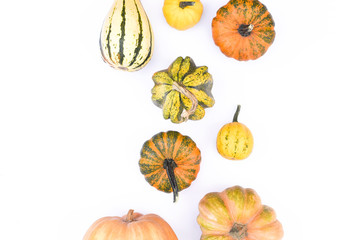 autumn flat lay on an isolated white background made of pumpkins.