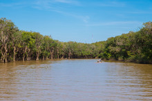 The Flooded Forest Grows In The Lowlands Of Tonle Sap The Largest Freshwater Lake In Southeast Asia, Siem Reap, Cambodia.