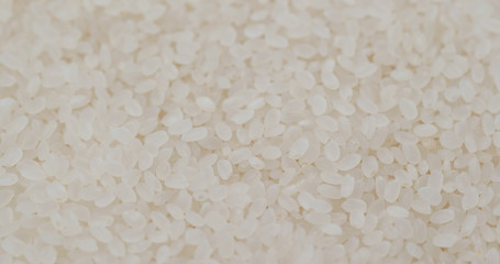 Canvas Print - Heap of Rice dried and uncooked