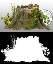Cut Out Tree Stump. Old Tree Stub Isolated On Transparent Background. Dead Tree. High Quality Clipping Mask For Professional Composition.