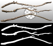 Cut Out Dead Branches. Dry Tree Branch Isolated On Transparent Background. Branch Fallen To The Ground. High Quality Clipping Mask For Professional Composition.