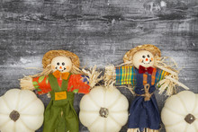 White Pumpkins With Fall Scarecrows On Weathered Black Grunge Wood Textured Background