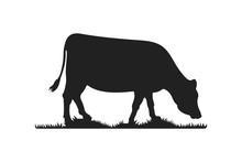 Cow Silhouettes On Grass. Cow Grazing On Meadow Vector Cartoon Illustration.