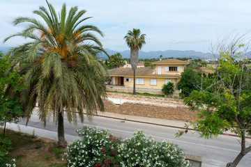 Wall Mural - view of the houses of Alcudia from the city wall