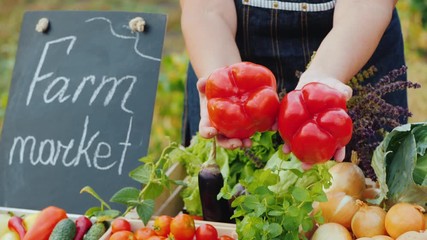 Wall Mural - Farmer's hands are holding two large sweet red peppers on a background of a counter with vegetables