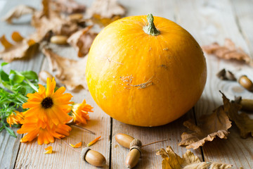 Wall Mural - pumpkin with autumn leaves on wooden background