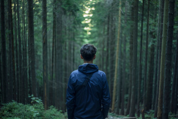 moody life style atmospheric picture of incognito guy back to camera on symmetry dark twilight pine 