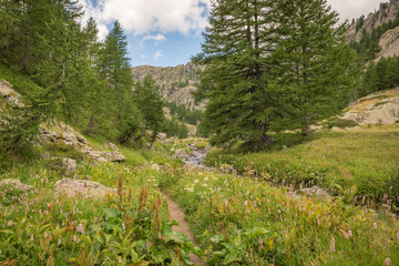 Sticker - French Alps, Valley of Miracles, pristine nature. National Nature Park of France Mercantour