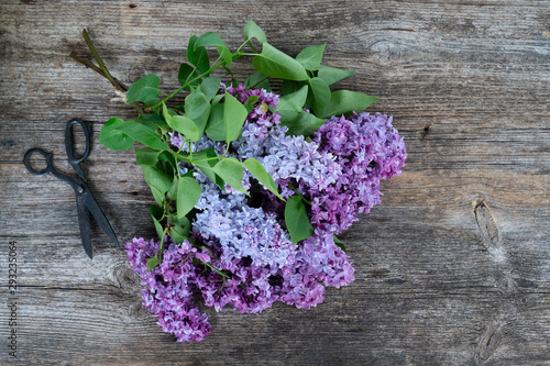 Fresh lilac flowers