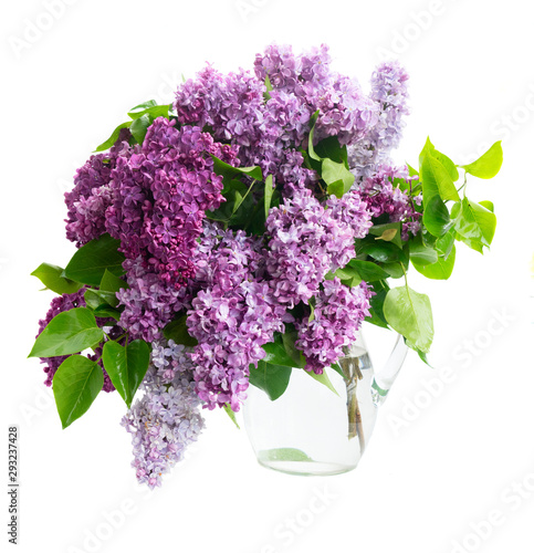 Fresh lilac flowers
