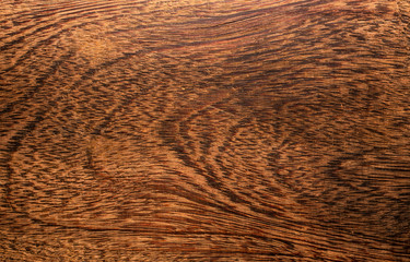 Wall Mural - Hard brown wood texture closeup macro