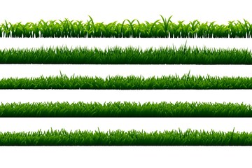 Set of grass isolated on white background.