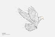 The particles, geometric art, line and dot of bird flying