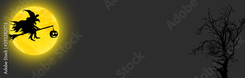Fotografía scary Halloween witch background