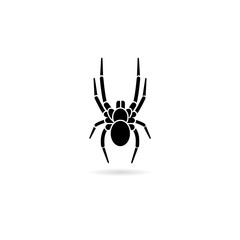 Wall Mural - Spider simple icon on white background