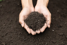 Top View. Farmer Holding Soil In Hands.  The Researchers Check The Quality Of The Soil.  Agriculture, Gardening Or Ecology Concept Layout , Copy Space.