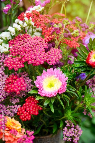 Hübscher Blumenstrauß mit Astern - Grußkarte