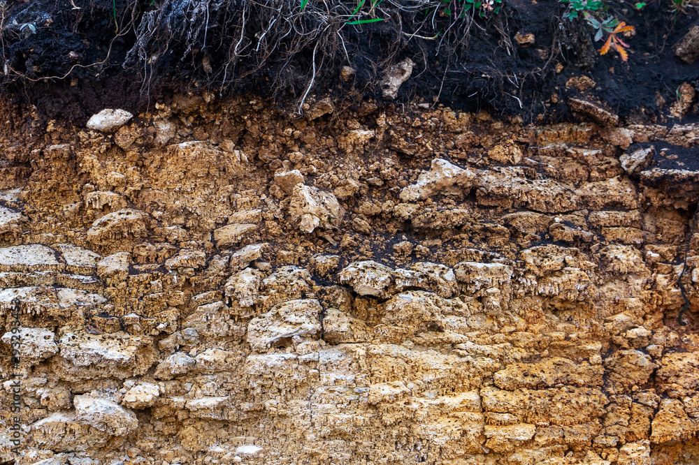 The curb erosion from storms. To indicate the layers of soil and rock ...