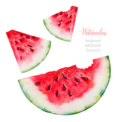 Wall Mural - Watermelon. Watercolor watermelon slices. Sketch. Watercolor botanical illustration.