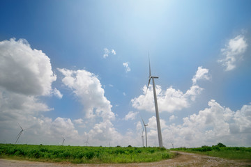 Wall Mural - Wind turbine in green field with cloud and blue sky