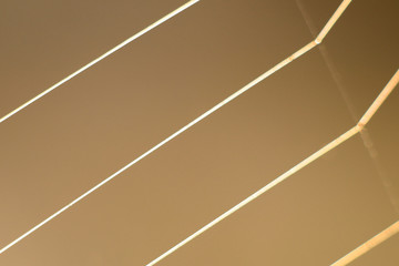 Macro of spider net