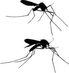 Sticker - two black isolated silhouettes of mosquitoes