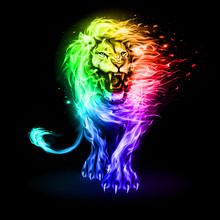 Abstract Illustration Of Infuriated Lion With Fire Flames Fur In Rainbow Color On Black Background For Design