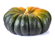 Enormous Overripe Green Pumpkin Isolated On White Background. Autumn Harvest Creative Concept
