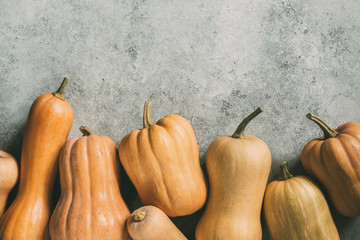 Wall Mural - lots of orange pumpkins on a grey background
