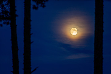 Close-up of full moon. Night time. Blue sky.