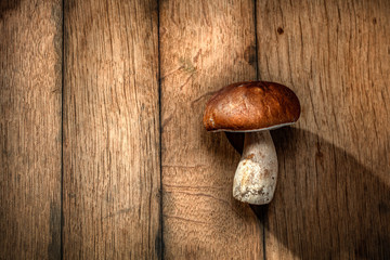 Autumn time and fresh mushrooms with free space for your decoration. 