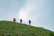 Trekking adventure group walking on the green ridge. Clear weather, clear sky