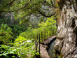 © Sebastian Bayer - Levada Wanderung,  Madeira, Portugal
