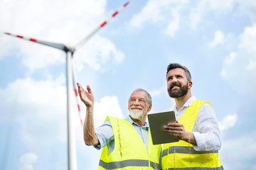 Wall Mural - Engineers standing on wind farm, making notes.