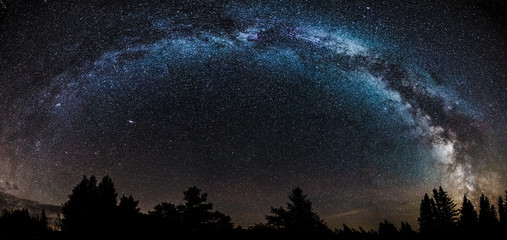 Night sky filled with stars including the core of the Milky Way with pine trees silhouetted on the horizon.  Andromeda galaxy under the Milky Way.