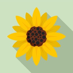 Poster - Farm sunflower icon. Flat illustration of farm sunflower vector icon for web design