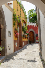 ischia forio italy street typical