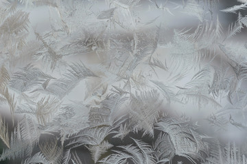 Wall Mural - Frosty pattern on window in winter season